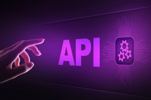 Pourquoi utiliser un logiciel de pige avec API ?